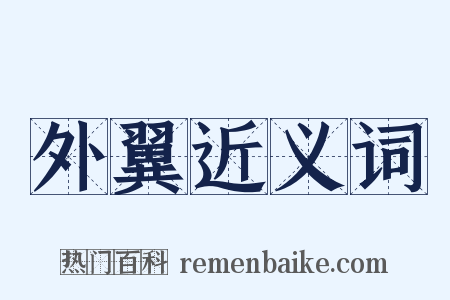 外翼近义词是什么意思的图片